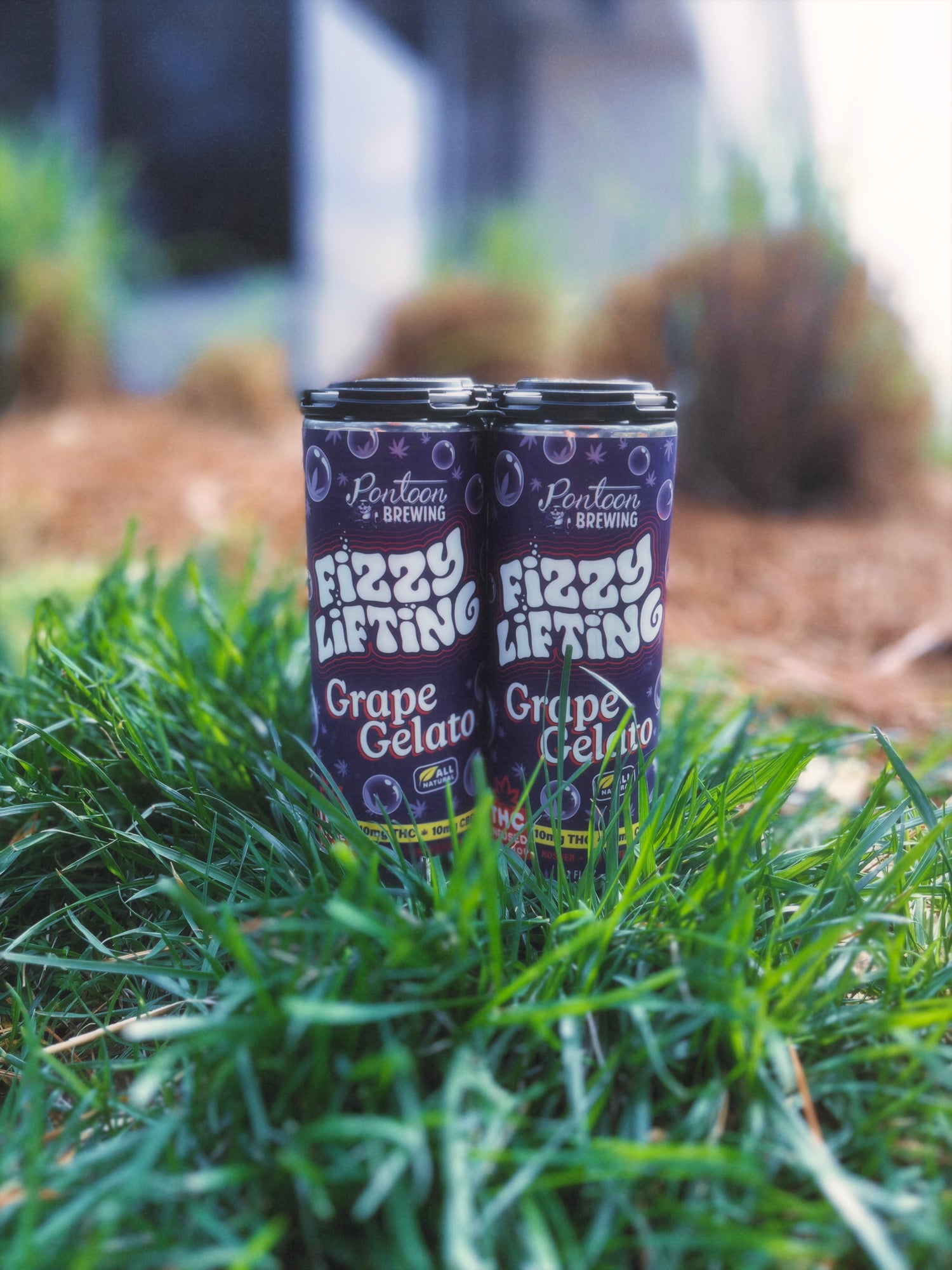 Fizzy Lifting Grape Gelato THC Soda – 4‑Pack (10mg Delta‑9 | Fast‑Acting Nano Float)