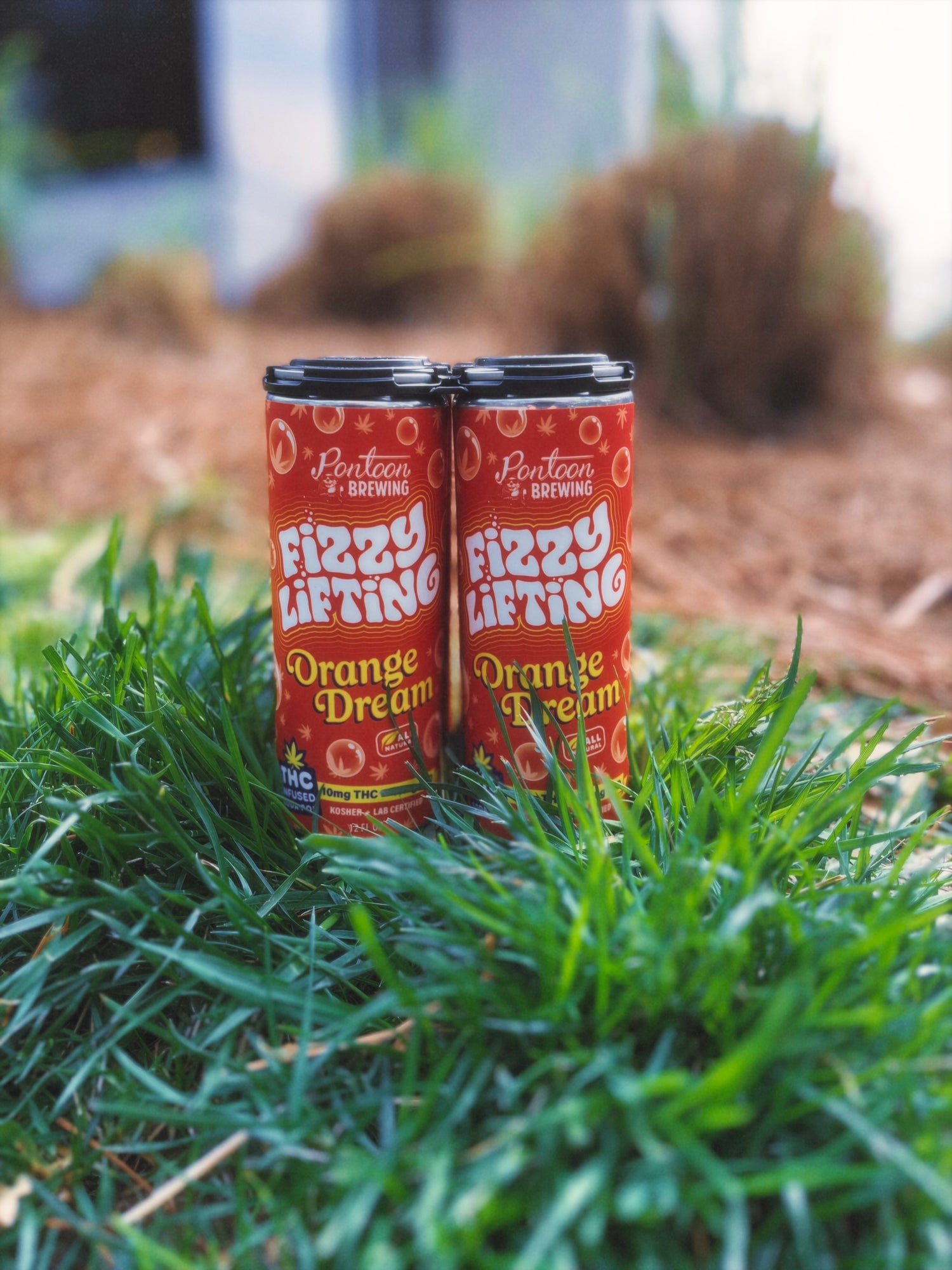 Fizzy Lifting THC Soda Sampler – 4‑Pack Variety (10mg Delta‑9 | Fast‑Acting Nano THC Drinks)