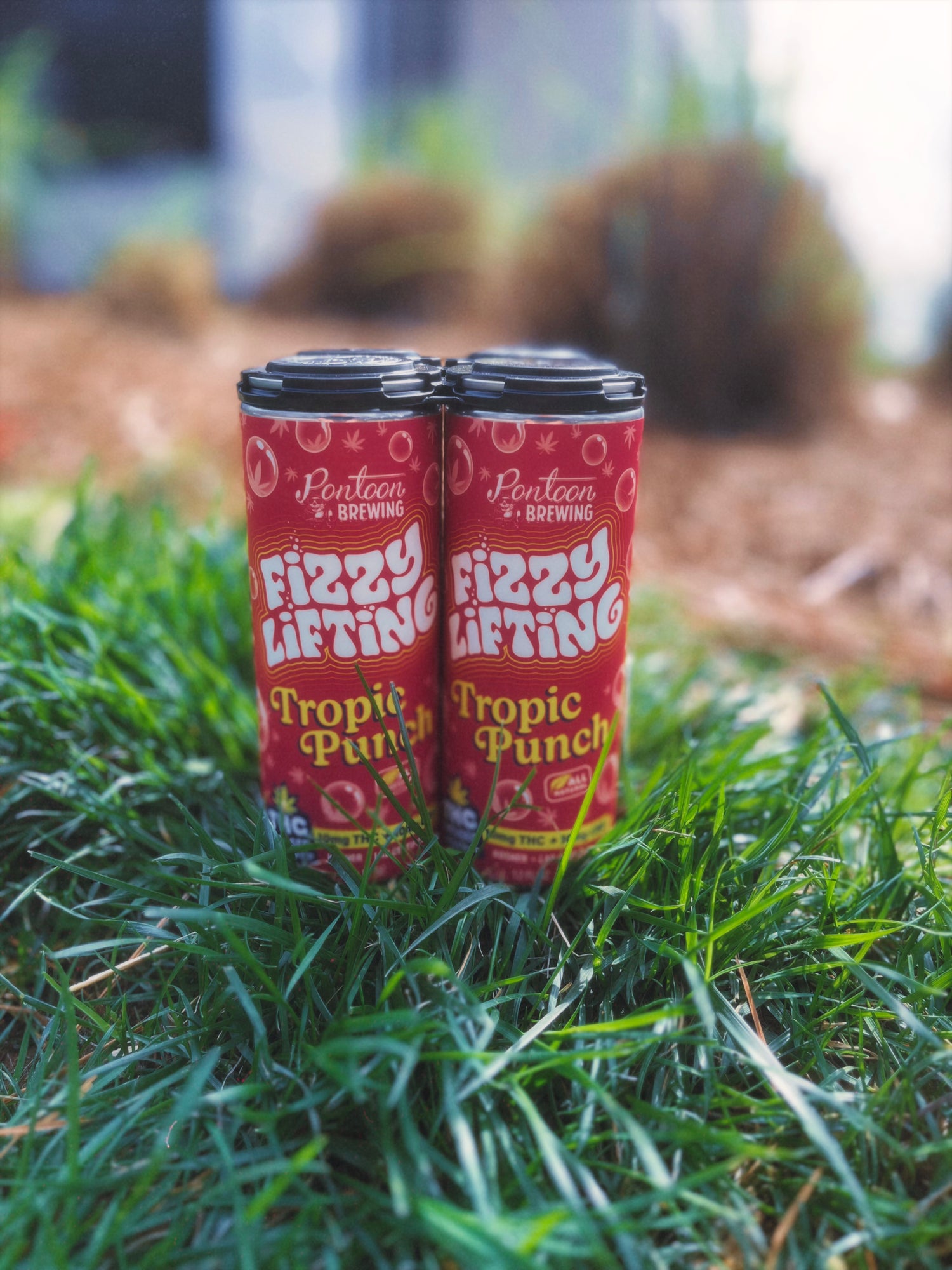 Fizzy Lifting Tropic Punch THC Soda – 4‑Pack (10mg Delta‑9 | Fast‑Acting Tropical Drink)