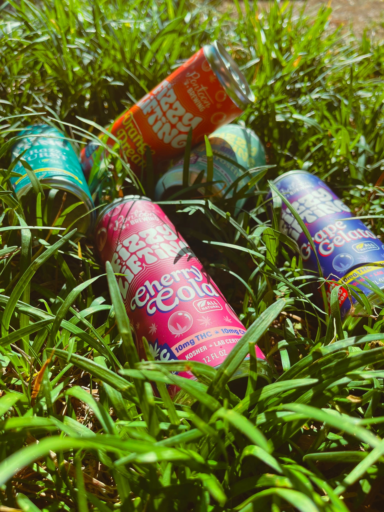 Fizzy Lifting THC Soda Sampler – 4‑Pack Variety (10mg Delta‑9 | Fast‑Acting Nano THC Drinks)