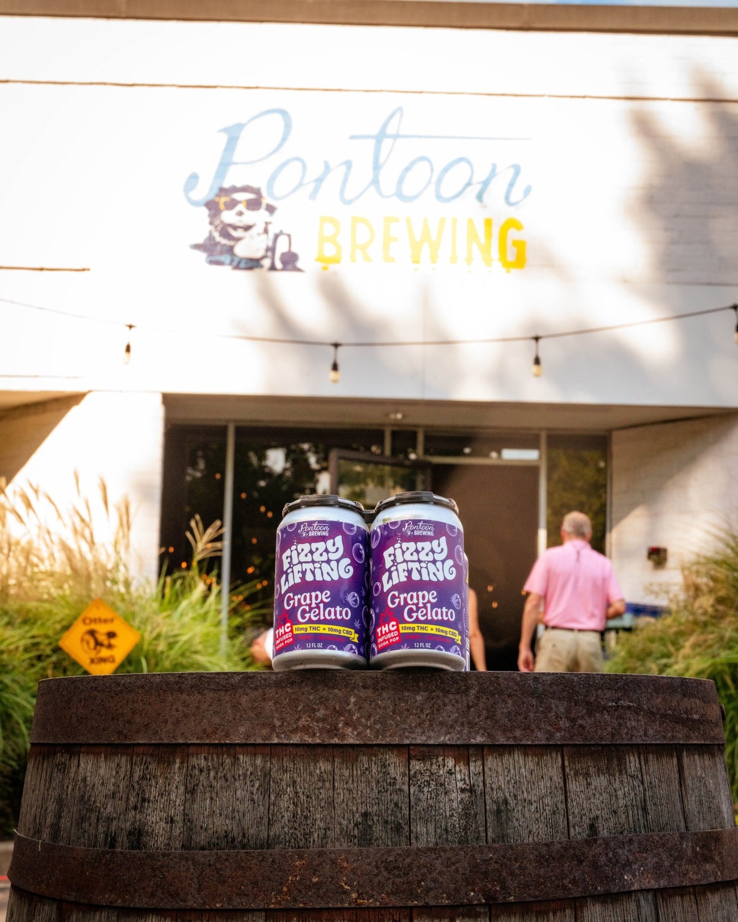 Fizzy Lifting Grape Gelato THC Soda – 4‑Pack (10mg Delta‑9 | Fast‑Acting Nano Float) - Fizzy Lifting Infused Beverages